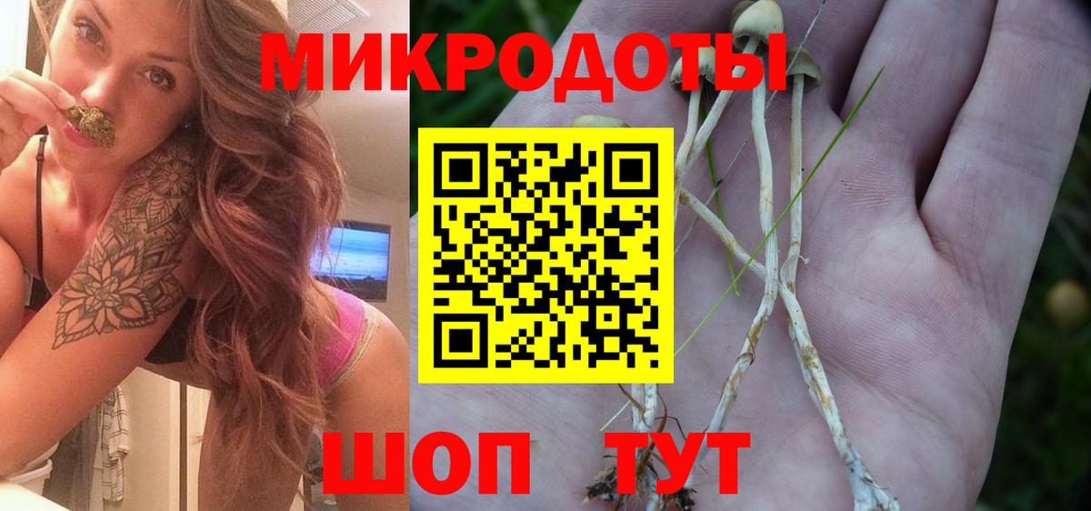 Псилоцибиновые грибы Psilocybine cubensis Канаш