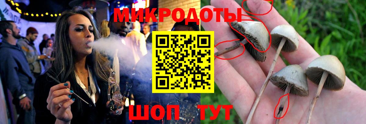 Псилоцибиновые грибы Psilocybe  Вход с VPN  Канаш 